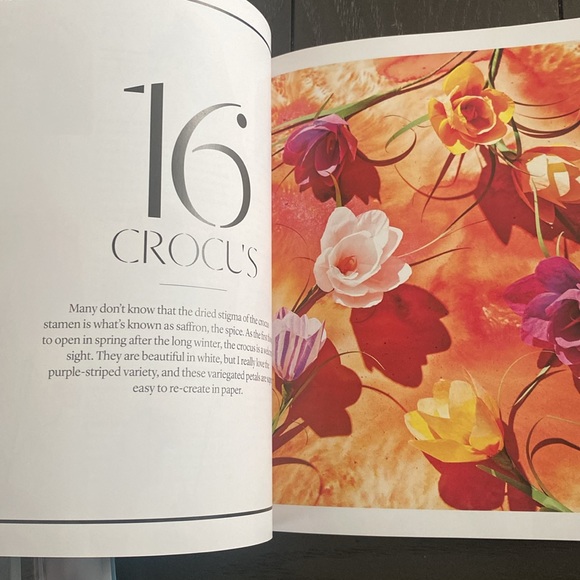 The exquisite book of paper flower transformations by artist Livia Cetti - Picture 5 of 9